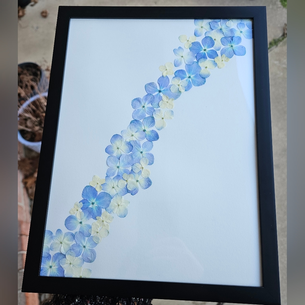 Framed Art Pressed Flower Blue Hydrangea Home Decor Original 9"x12" VTG Inspired